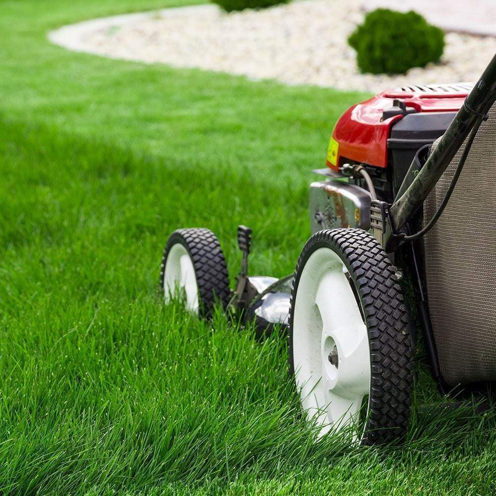 Green-Lawncare-Package-ProGreen-Property-Services
